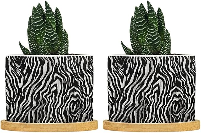 in Beige Ceramic Planters Black White Zebra Print Planters for Indoor Plants with Drainage Holes and Saucers Pot for Succulents Cactus Garden Windowsill