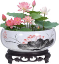 Hemoton Lotus Bowl Planter with Base, Ceramic Water Plant Pot, Indoor Bonsai Bowl Lotus Flower, Hydroponic Planter for Water Lily, Aquatic Plants, Lilies, and Succulents, Glazed Vase for Lotus Seeds