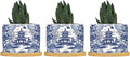 Chinoiserie Blue Asian Planters Ceramic Chinoiserie Chic Asian Round Plant Pots with Drainage Holes and Bamboo Tray Pot for Succulents Cactus Garden Windowsill