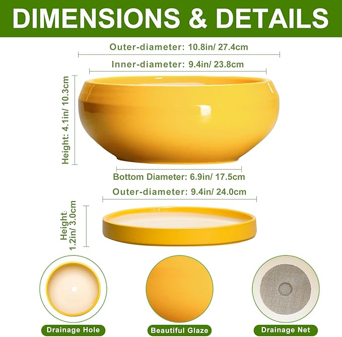 Succulent Pots 10 Inch - Ceramic Bonsai Pots with Drainage Hole and Tray, Shallow Plant Pot Indoor Outdoor, Modern Bonsai Tree Pot, Round Planter Bowl, Home Decor, Housewarming Gift, Yellow