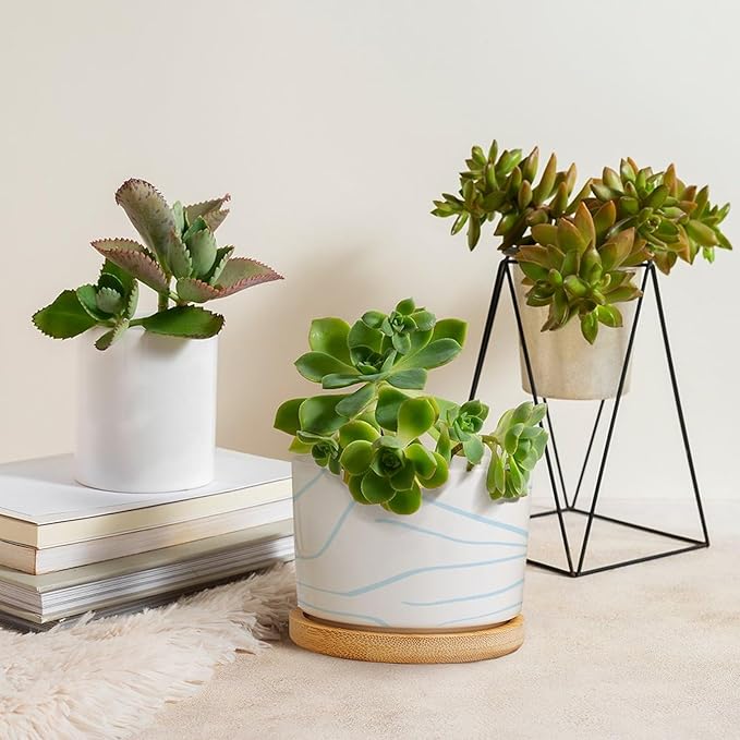 African Zebra Stripe Print Planters Ceramic Boho Geometric Light Blue and White Round Plant Pots with Drainage Holes and Bamboo Tray Pot for Home Office Decoration