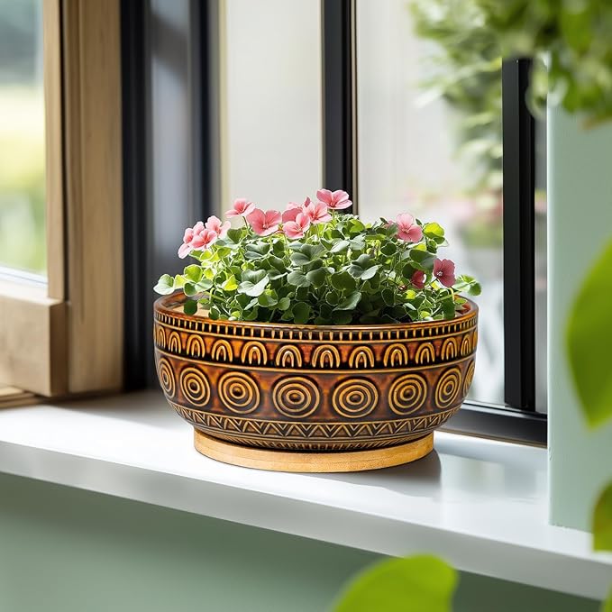 Bonsai Pots 8 Inch - Ceramic Succulent Planters for Indoor Plants, Shallow Plant Pots with Drainage Hole and Saucer, Boho Round Planter Bowl, Office Decor, Brown