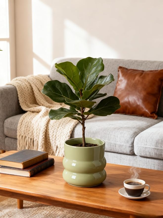 6 Inch Plant Pot,Ceramic Planter Pot with Drainage Hole,Indoor Planters for Herbs Plants,Ceramic Flower Pots for Indoor/Outdoor Plants,Home Office Garden Décor,Green