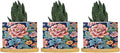 Bright and Chinoiserie Ceramic Planter Coral Peony Floral Snake Plant Live Indoor with Pot with Drainage Holes and Saucers Pot for Succulents Cactus Garden Windowsill