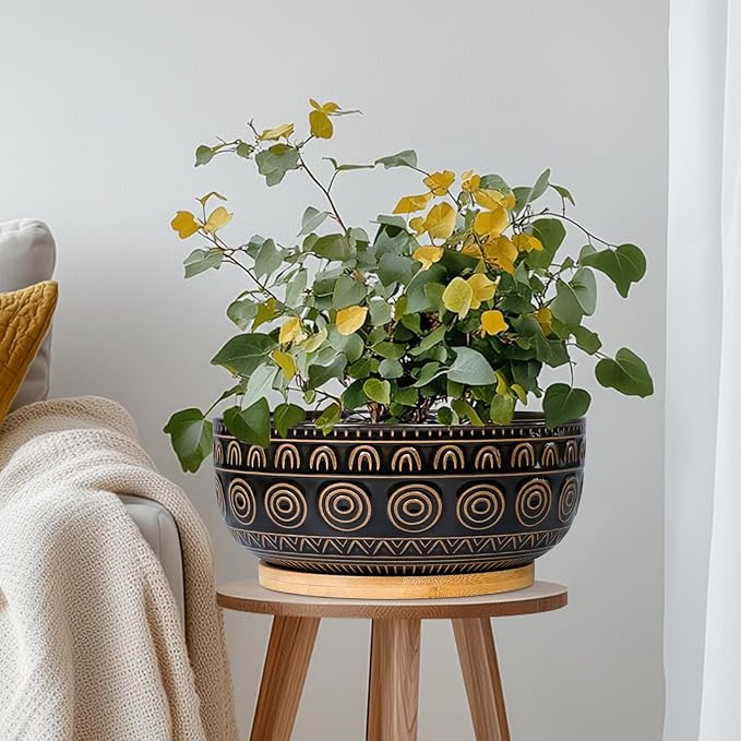Ceramic Bonsai Pots - 8 Inch Plant Pot for Succulent, Round Planter for Indoor Plants, Shallow Planters with Drainage Hole and Tray, Boho Bonsai Bowl, Living Room Decor, Black