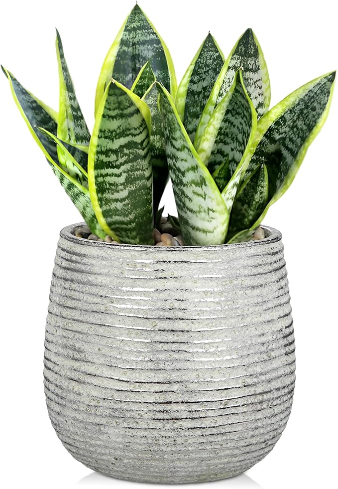 DILATATA Ceramic Pots with Drainage Hole 6.7 Inch Flower Plant Pot Indoor Round Planter Pot for Succulents, Cacti, Cactus, Snake Plants Home Decor - Silver