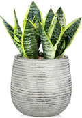 DILATATA Ceramic Pots with Drainage Hole 6.7 Inch Flower Plant Pot Indoor Round Planter Pot for Succulents, Cacti, Cactus, Snake Plants Home Decor - Silver