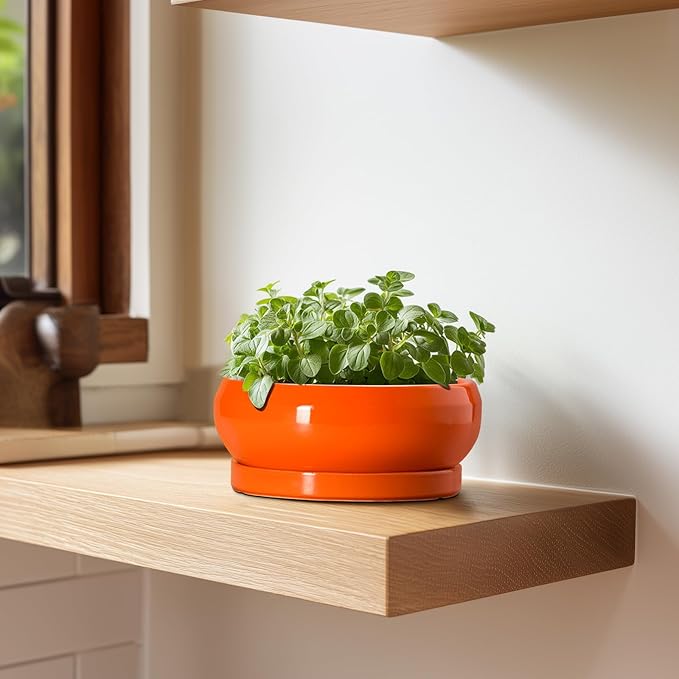 Succulent Planters 6 Inch - Small Bonsai Pots Ceramic, Succulent Pots with Drainage Hole and Saucer, Shallow Planters Indoor Outdoor, Round Cactus Pot, Office Decor, Gardening Gift, Orange