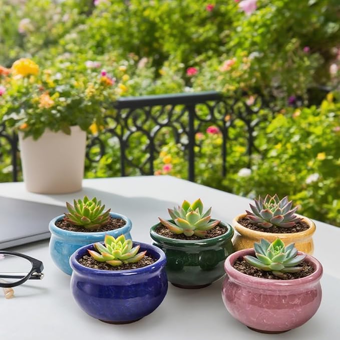 Okllen Set of 6 Small Succulent Pots, Ceramic Succulent Planters Stylish Crackle Glaze Design with Drainage Holes for Indoor/Outdoor Small Plants, Plants Not Included