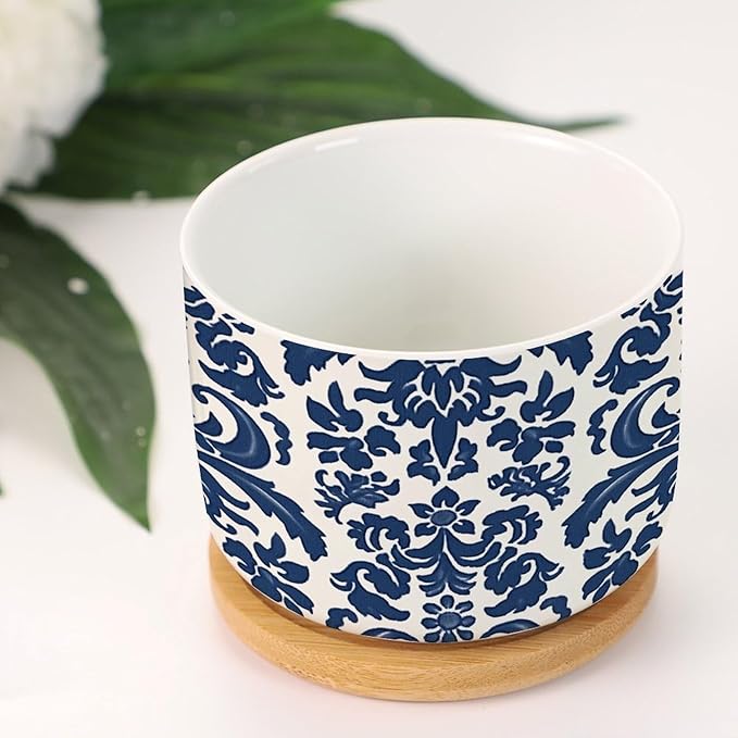 Blue Regalia Lion Ceramics Plant Pot Set of 5 Indigo Blue Flower Lion Asian Succulents Plants Live with Pot with Drainage Bamboo Trays Oriental Toile Chinoiserie Small Ceramics Planter