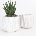 Plant Pot 4 Inch Ceramic Pots, Set of 2 Flower Pots Crackle Glaze Small Planters Pots with Drainage Hole and Mesh Pads for Indoor Outdoor Garden Pots Succulent, Cactus, Herbs (White)