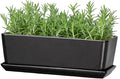 SQOWL Rectangle Planter - 10 Inch Ceramic Plant Pots with Drainage Hole and Saucer, Rectangular Succulent Planters for Indoor Plants, Flower Cactus Herb Pots Outdoor, Room Decor, Garden Gifts, Black