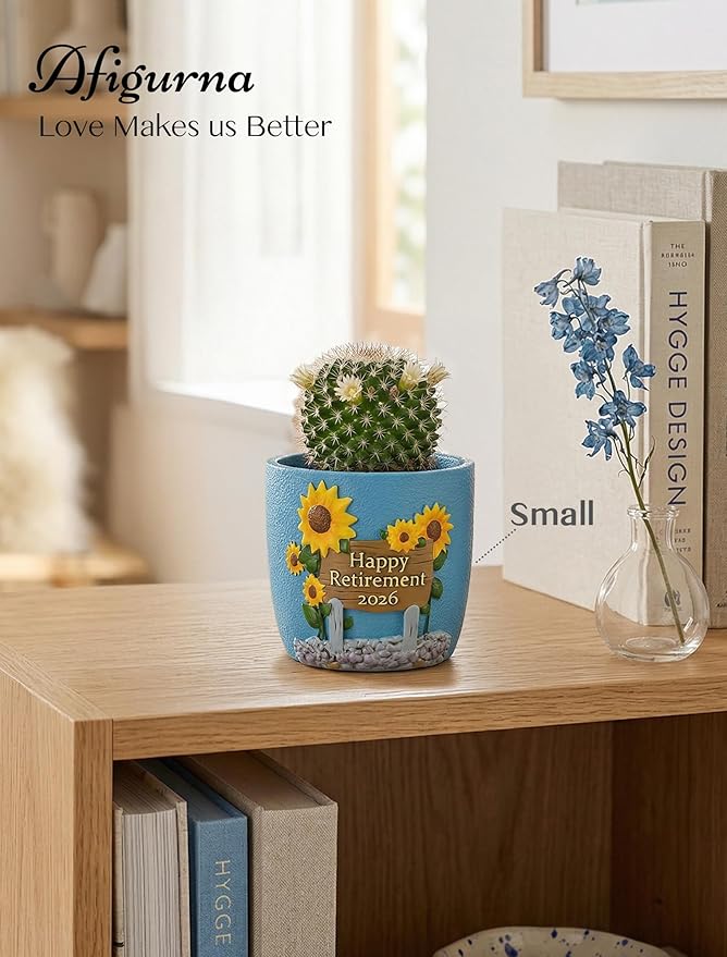Retirement Gifts for Woman: Happy Retirement Gifts for Women Nurse Teacher Coworker - Unique Retired Garden Gifts for Decoration - Hand-Painted Plant Pot Present with Gift Box and Card