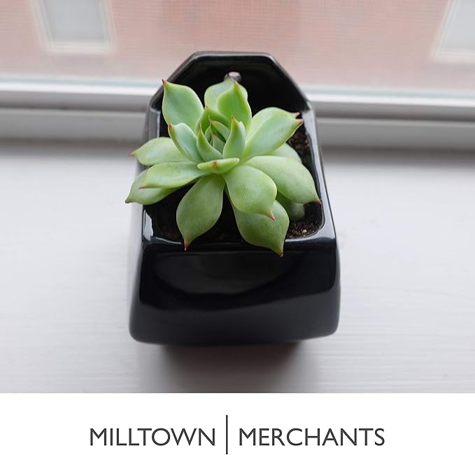 Milltown Merchants Succulent Wall Planters - Wall Vases - Black Ceramic Wall Mounted Planters - Succulent Plant Pots - Hanging Vases for Living Wall (2 Pack/Contemporary/Black)