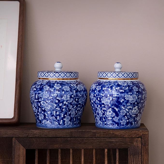 Ceramic Jar with Lid - Airtight Kitchen Canisters for Coffee and Tea Storage - Decorative Ceramic Canister (blue)