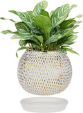 Ceramic Plant Pots for Plants Indoor 6.1 Inch Round Gold and White Flower Pot Gilded Decorative Planter with Drainage Hole and Saucer Modern Ceramic Pot for Succulents Orchids Cactus Herbs Home Decor