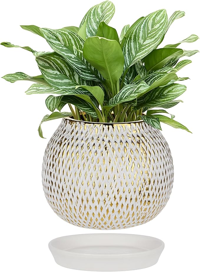 Ceramic Plant Pots for Plants Indoor 6.1 Inch Round Gold and White Flower Pot Gilded Decorative Planter with Drainage Hole and Saucer Modern Ceramic Pot for Succulents Orchids Cactus Herbs Home Decor
