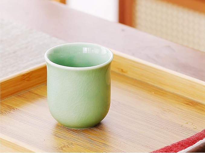 Japanese Tea Set for Adults, Japanese Gongfu Tea Set with 1 Teapot (23.5oz/700ml), 6 Tea Cups(4oz/120ml), Tea Tray & Stainless Infuser, Japanese Teapot Set Tea Gift Set (Kiln Mint Green)