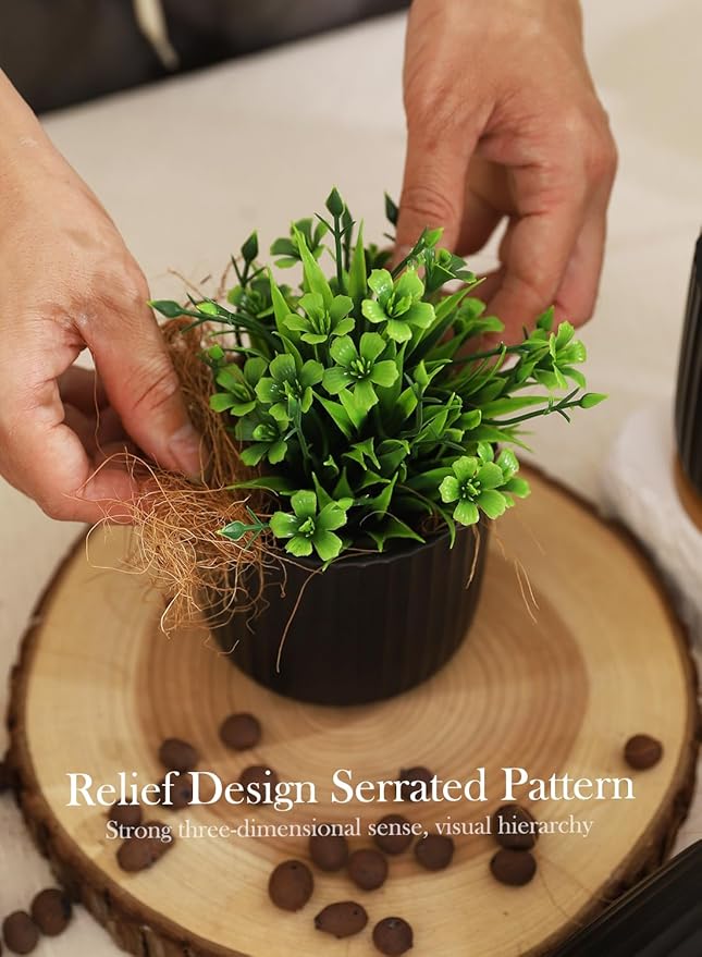 OMAYKEY 4 Inch Ceramic Plant Pot with Saucer, Small Planters Pots with Drainage Hole and Mesh Pads for Succulent, Cactus, Herbs, Stripe Pure Black
