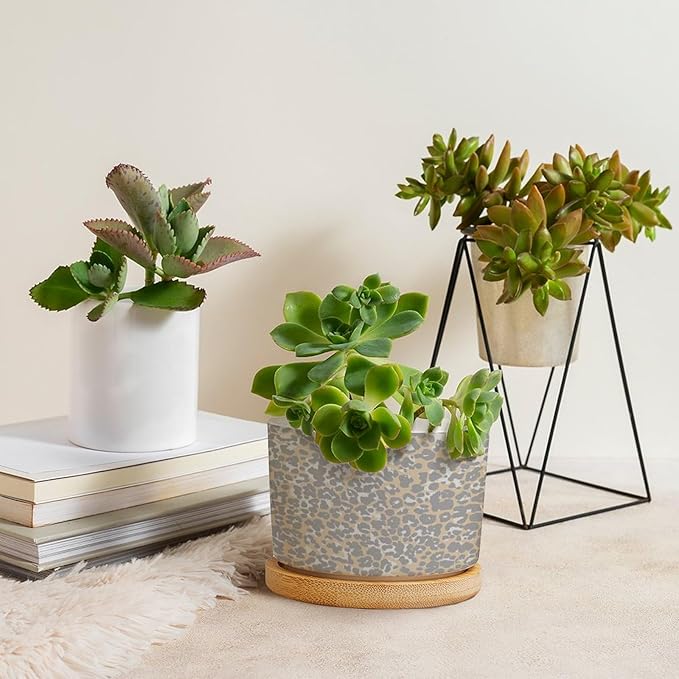DreamAutumn Cheetah Leopard Print Animal Light Gray and Light Brown Ceramic Pots for Plants with Drainage Holes Round Flower Pot Bamboo Tray Orchid Pot Succulents Pots for Outdoor Indoor Plants