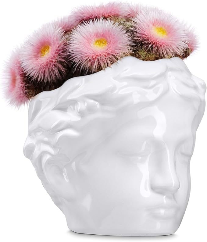 Small Head Planter - Ceramic Face Planter Pots for Indoor Plants, Cute Funny Succulent Pot with Drainage Hole, Unique Gift, 3.9"