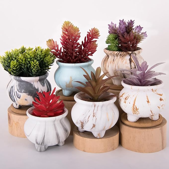 ARTKETTY Succulent Pots - 3.8 Inch Marble Plant Pot with Drainage Trays Set of 6, Small Ceramic Pots for Indoor Cactus Flower Plants Decorative Garden Home Office