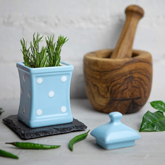 City to Cottage Handmade Small 5.3oz/150ml Ceramic Kitchen Herb, Spice, Storage Jar with Lid, Pottery Canister, Housewarming Gift (Baby Blue Polka Dot)
