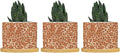 Leopard Orange Light Brown Dot Ceramic Planter African Tribal Animal Print Planters for Indoor Plants with Drainage Holes and Saucers Pot for Home Office Decoration