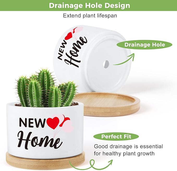 Housewarming Gifts New Home,Funny Ceramic Plant Pots Gifts for New Home for Women Men Neighbor Homeowner, Indoor Plants Garden Planters Succulent Pots(No Plants)(Newhome)