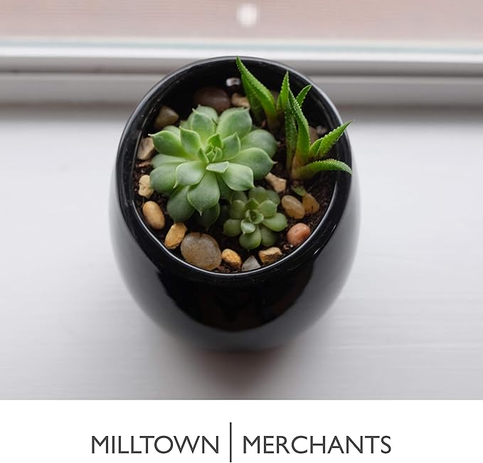 Milltown Merchants Succulent Wall Planters - Wall Vases - Black Ceramic Wall Mounted Planters - Succulent Plant Pots - Hanging Vases for Living Wall (2 Pack/Modern/Black)