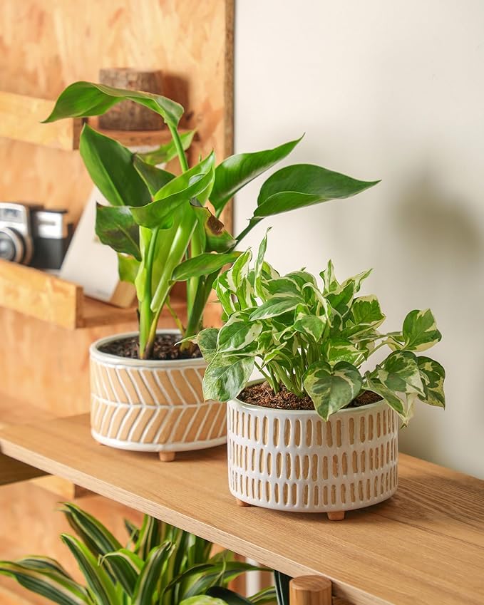 Succulent Pots, 6 Inch Planters with Drainage Hole, Modern Indoor Plant Pots for Succulents, Herbs, Aloe, Snake Plant - Ceramic Home Décor, Set of 2