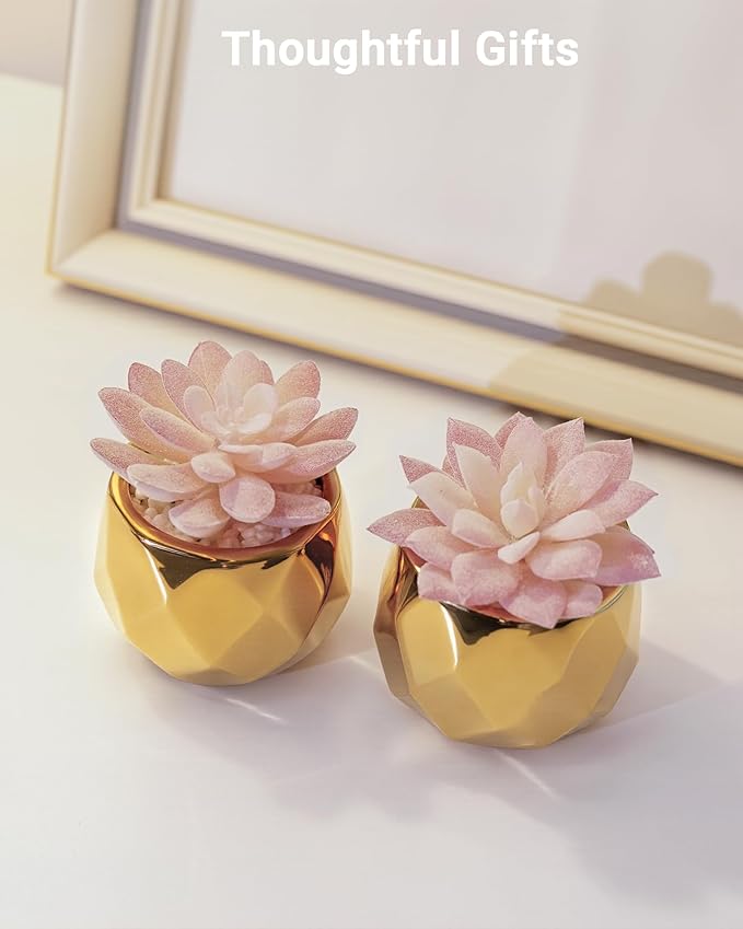 VIVERIE Mini Succulents Plants Artificial in Pots-Pink with Golden Ceramic, Christmas Small Fake Succulents Plants for Home Decor Indoor for Women, Set of 2, Gifts for Mom