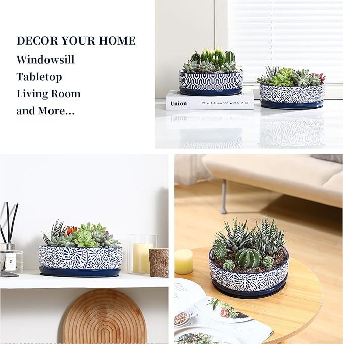 Selamica Ceramic Succulent Pots, Shallow Succulent Planters with Drainage Hole & Saucer, Indoor Plant Pots for Cactus, Home Decor，Vintage Blue, 8 inch，Set of 2