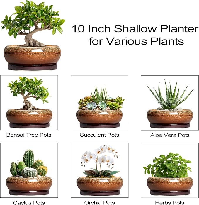 Bonsai Pots - 10 Inch Ceramic Succulent Pots with Drainage Hole and Saucer, Bonsai Planter for Indoor Outdoor, Large Shallow Planter Bowl, Office Decor, Gifts for Plant Lovers, Retro Brown