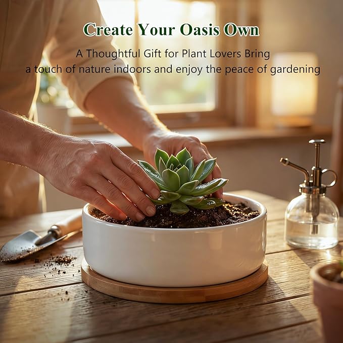 ZOUTOG Succulent Pots,6 Inch Succulent Planters with Drainage and Tray,White Ceramic Planters for Indoor Plants,Round Flower Plant Pots,Pack of 4