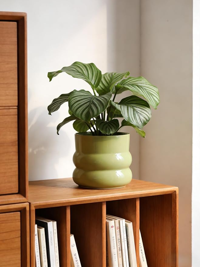 6 Inch Plant Pot,Ceramic Planter Pot with Drainage Hole,Indoor Planters for Herbs Plants,Ceramic Flower Pots for Indoor/Outdoor Plants,Home Office Garden Décor,Green