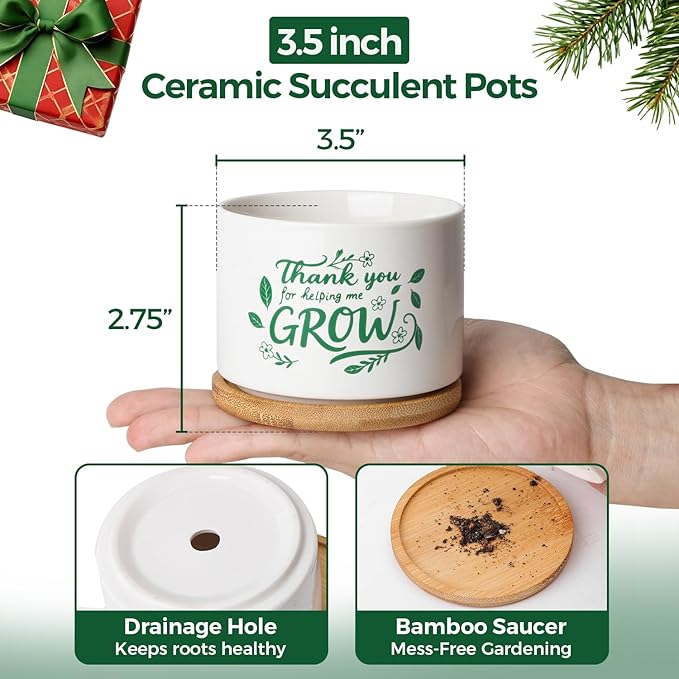 T4U Thank You for Helping Me Grow, 1 Pack Thank You for Helping Me Grow Gift for Teacher, Mini Succulent Pots for Plant Lovers,Thanksgiving Teacher Gift, Small Cactus (3.5 Inch)