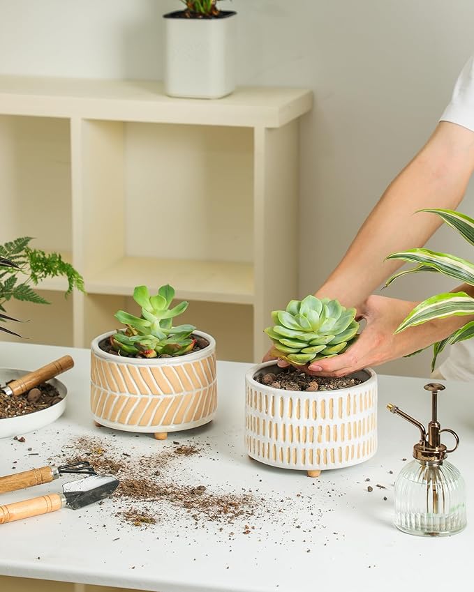 Succulent Pots, 6 Inch Planters with Drainage Hole, Modern Indoor Plant Pots for Succulents, Herbs, Aloe, Snake Plant - Ceramic Home Décor, Set of 2