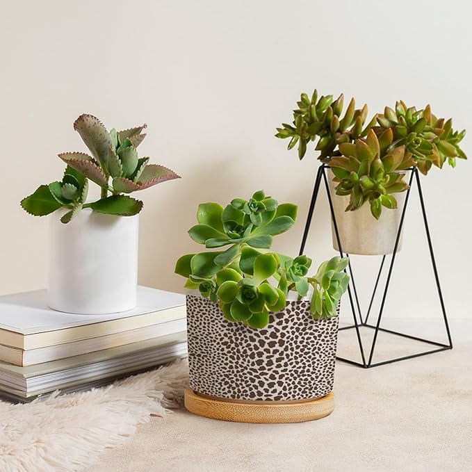 Brown Leopard Print Ceramic Planters African Animal Stripe Planters for Indoor Plants with Drainage Holes and Saucers Pot for Home Office Decoration