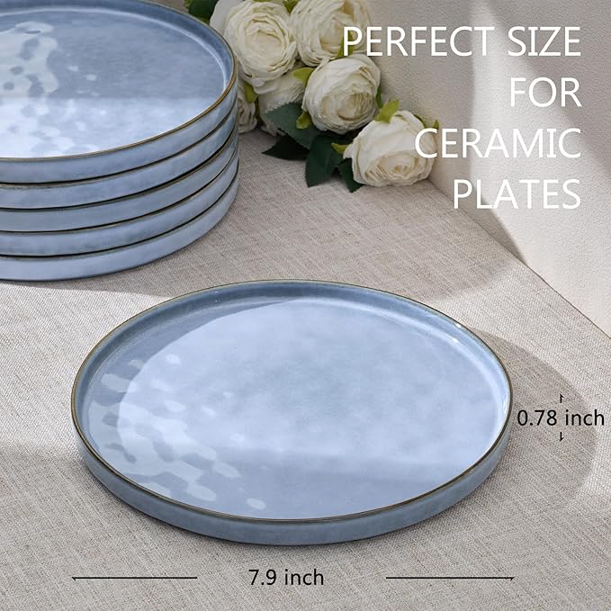 LIANYU 6PCS Ceramic Flat Dinner Plates Set, Porcelain Salad Appetizer Dishes with High Edge, 7.9” Dessert Plates Set, Microwave, Oven, dishwasher Safe, Chip & Scratch Resistant, Serenity Blue