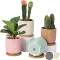 OMAYKEY 4 Inch Ceramic Plant Pot with Saucer, Adorable Stripe Multicolor Small Planters Pots with Drainage Hole & Mesh Pads for Succulent, Snake Plants, Cactus, Herbs - Set of 4