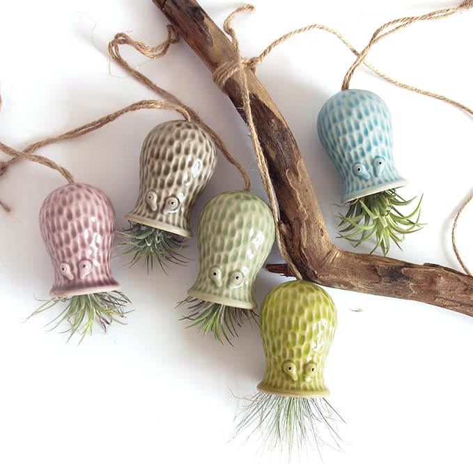 Octopus Air Plant Holder - 5 Pack Resin Hanging Stand for Home Decor, Cute Hanger for Air Plants/Succulent, Octopus Decor for Living Room/Office