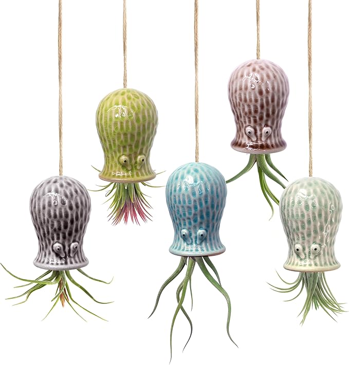 Octopus Air Plant Holder - 5 Pack Resin Hanging Stand for Home Decor, Cute Hanger for Air Plants/Succulent, Octopus Decor for Living Room/Office