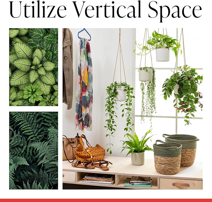 SCHEURICH Set of 2 Silent Green Cottage Ceramic Hanging Plant Pot 6.5" - with 22" Sisal Rope Hanger - Waterproof&Break-Resistant, for Indoor&Outdoor Plants, Succulents&Flowers - Made in Germany -0.7gl