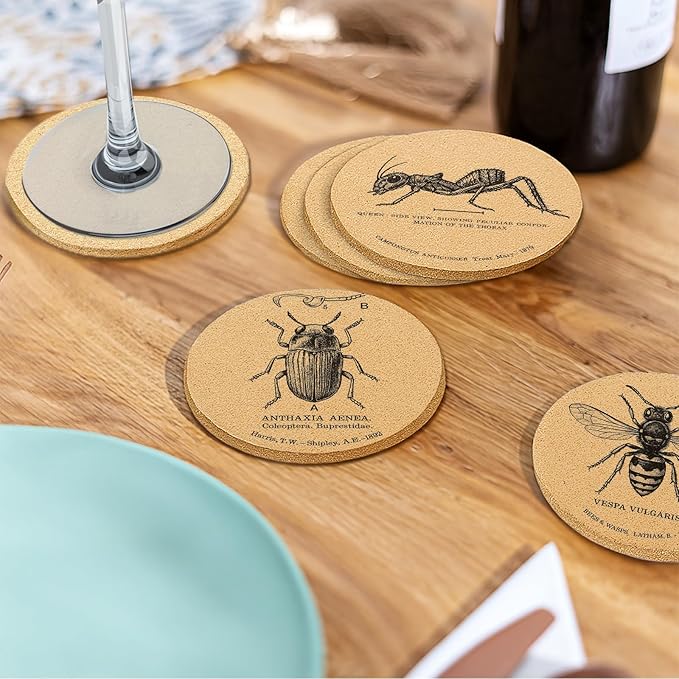 Coasters Insects for Drinks with Holder Set of 6, Butterfly Cork Coaster Absorbent for Cup Entomology Office Desk Table Coasters Kitchen Decor House Warming Gifts for New Home Couples, Round 4"