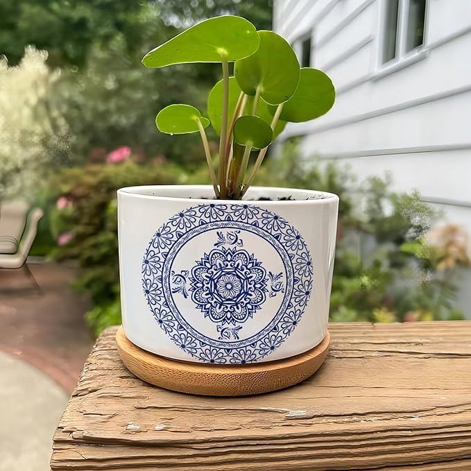 Planters Ceramic Chinese Style Blue And White Porcelain Print Ceramic Pots with Drainage Holes Round Flowerpot Bamboo Tray Plant Pots for Succuelnt And Little Snake Plants Pots for Nana Grandma