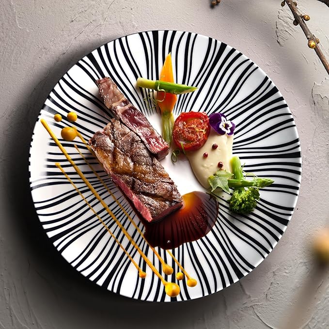 10" Black and White Striped Ceramic Plates Set of 6, Zebra Pattern Dinner Plates Set, Minimalist Porcelain Dish Set, Microwave, Oven & Dishwasher Safe