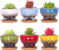 ARTKETTY Succulent Pots - 4 Inch Small Succulent Plant Pots with Drainage Tray Set of 6, Ceramic Pots for Indoor Plants Colorful Cactus Flower Pot for Garden Home Decor
