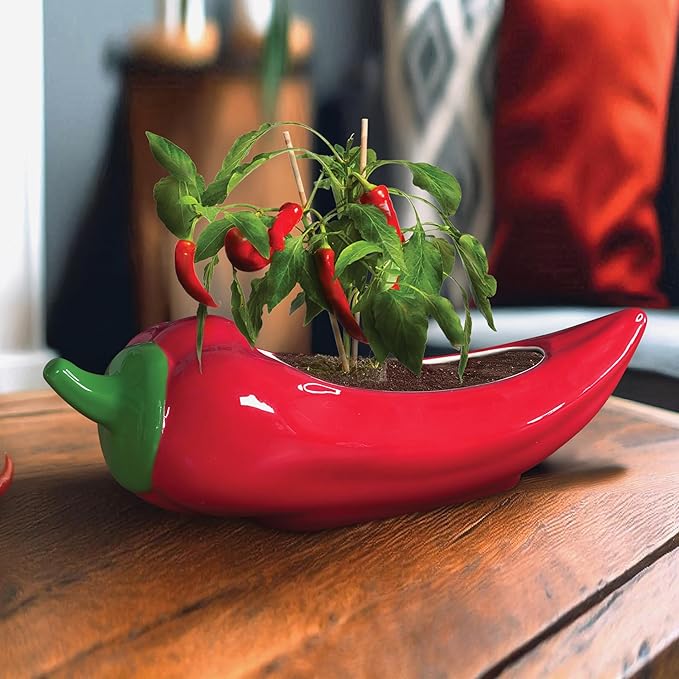 Red Hot Chili Planter – Glazed Ceramic Chili Pepper Plant Pot for Indoor Gardening – Fun & Spicy Gift for Plant Parents and Chili Lovers – Unique Indoor Planter for Herbs, Houseplants & Peppers