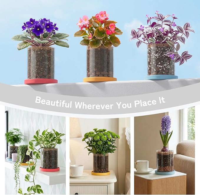 3-Pack 4 Inch Clear Glass Plant Pots with Drainage and Ceramic Trays, Indoor Herb Planters for Home Office, Succulents & Small Plants (Primary 3-Pack)
